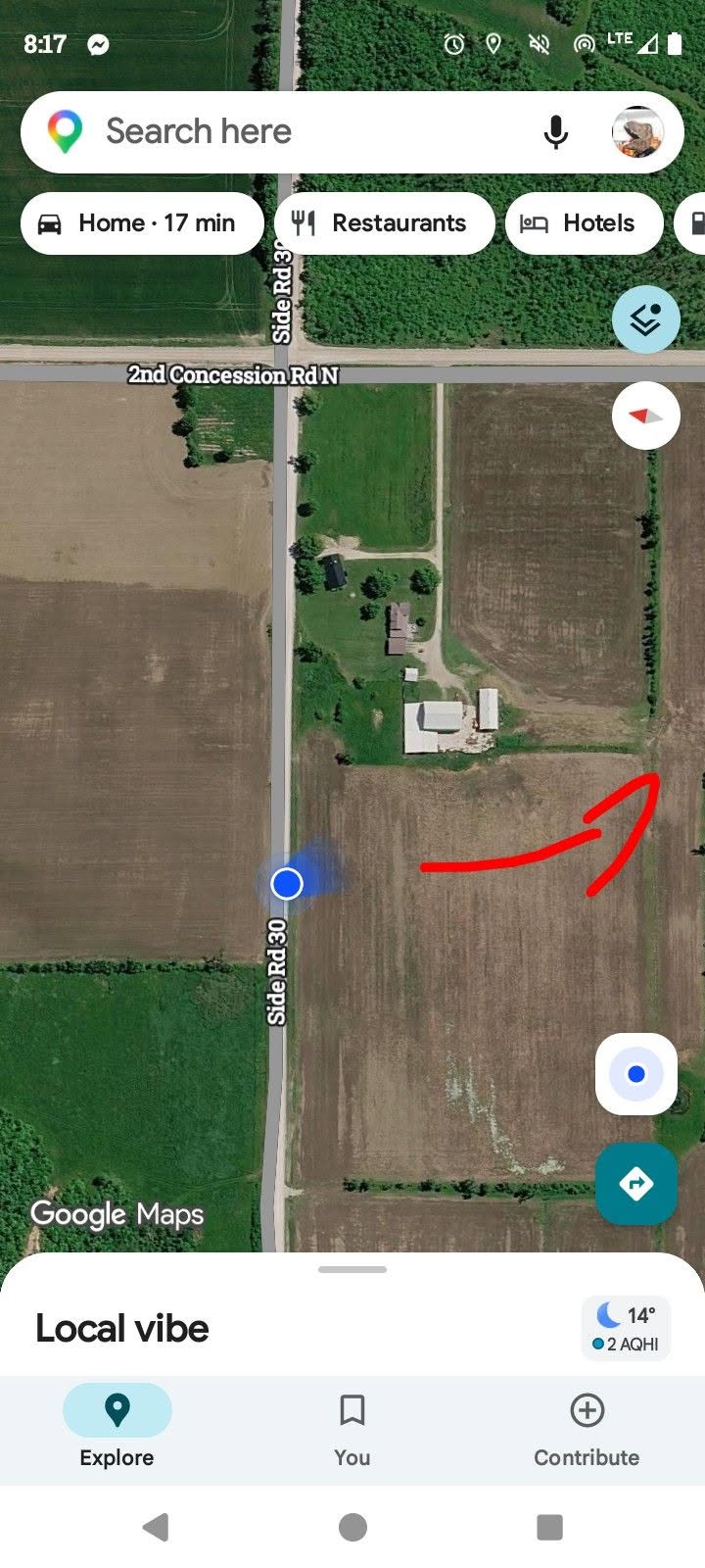 Found Calf in Grey Bruce