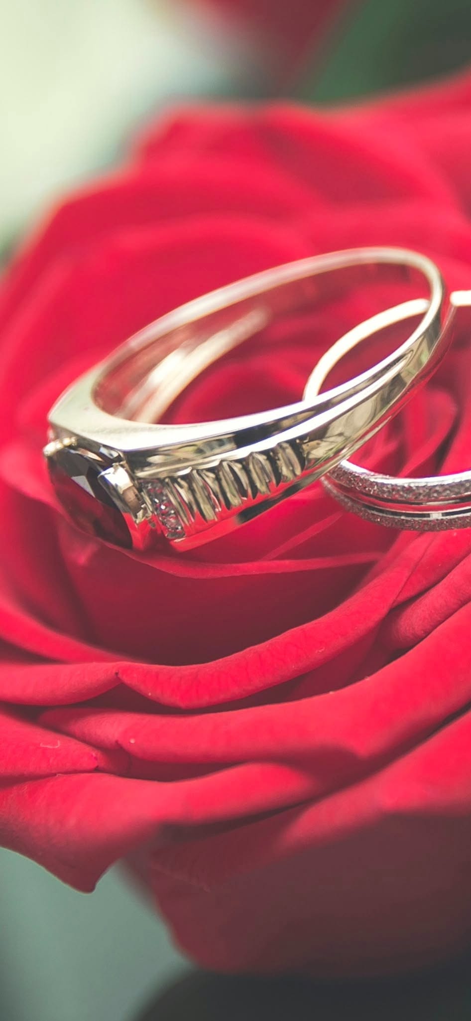 Lost Ring in Queensway Quay