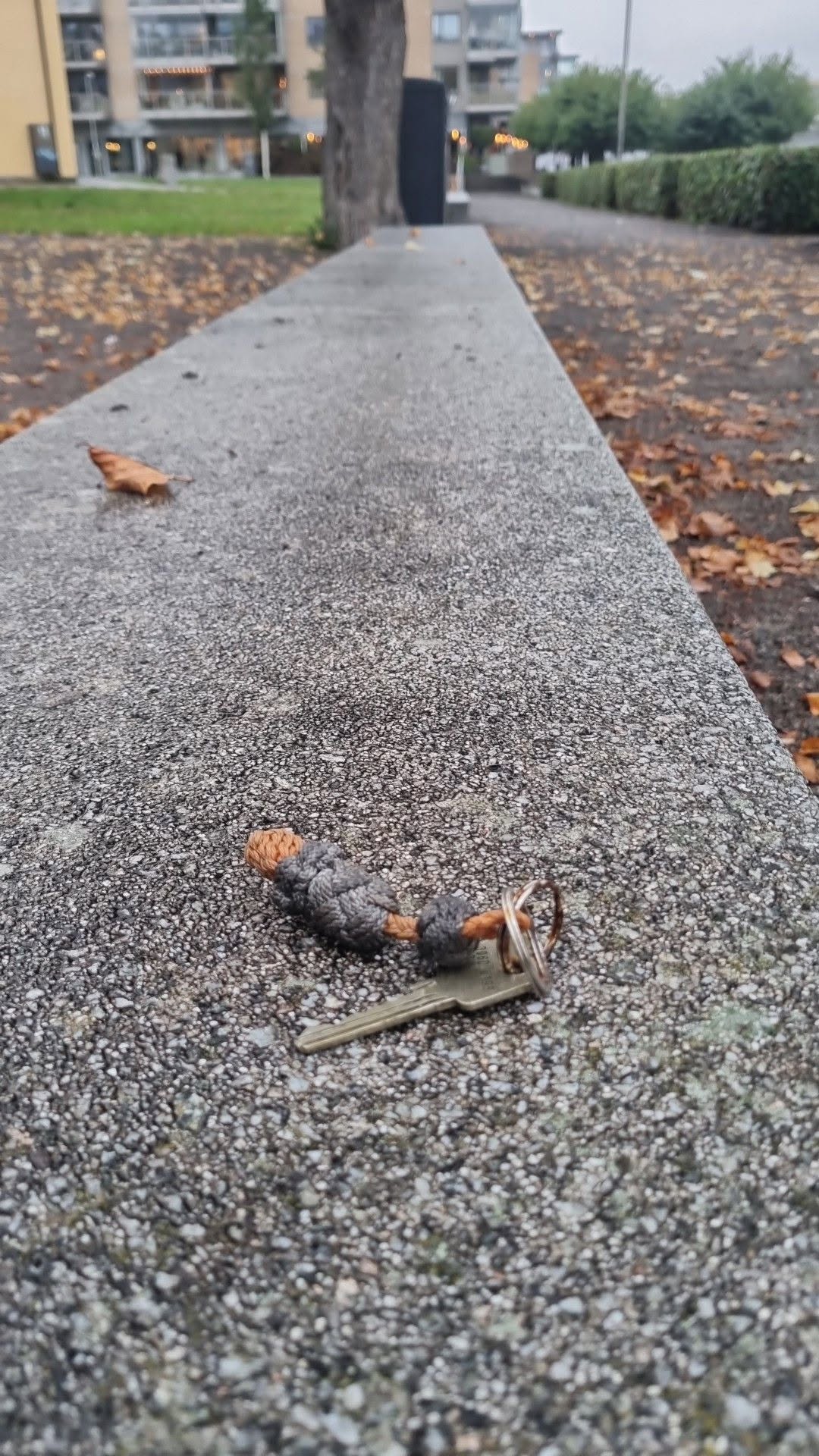 Found Keys in TøNsberg