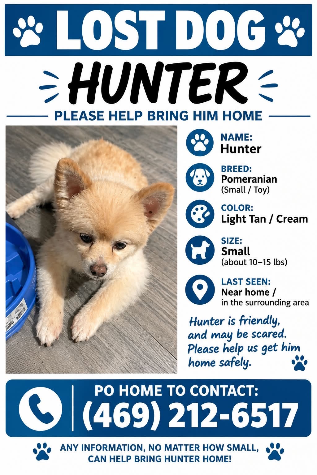 Lost dog