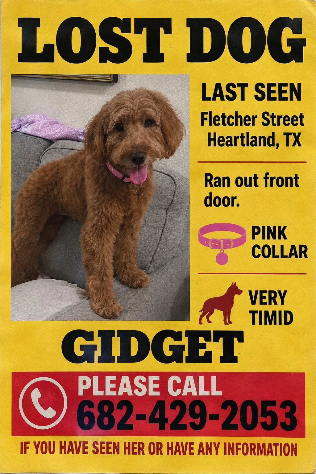 Lost Dog in Heartland
