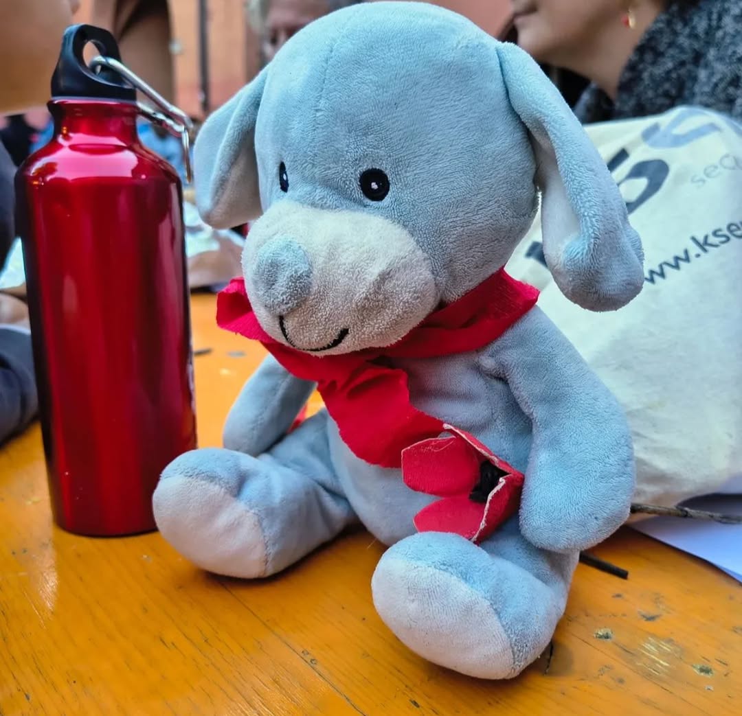 Lost Toy in Bologna