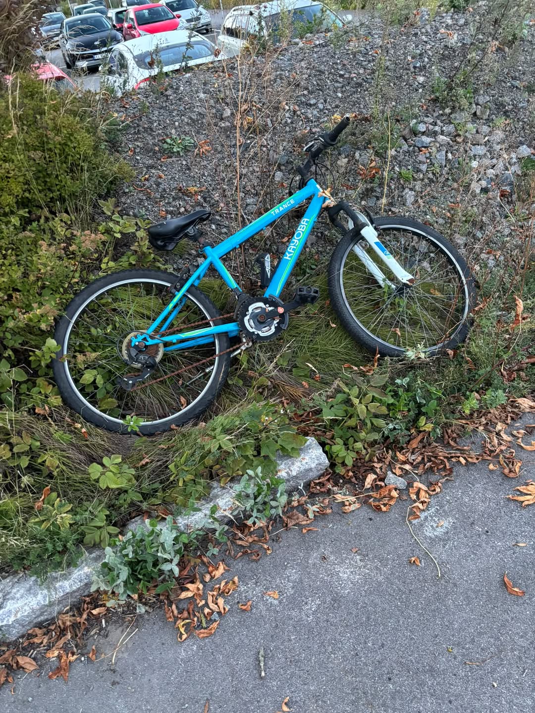 Found bike