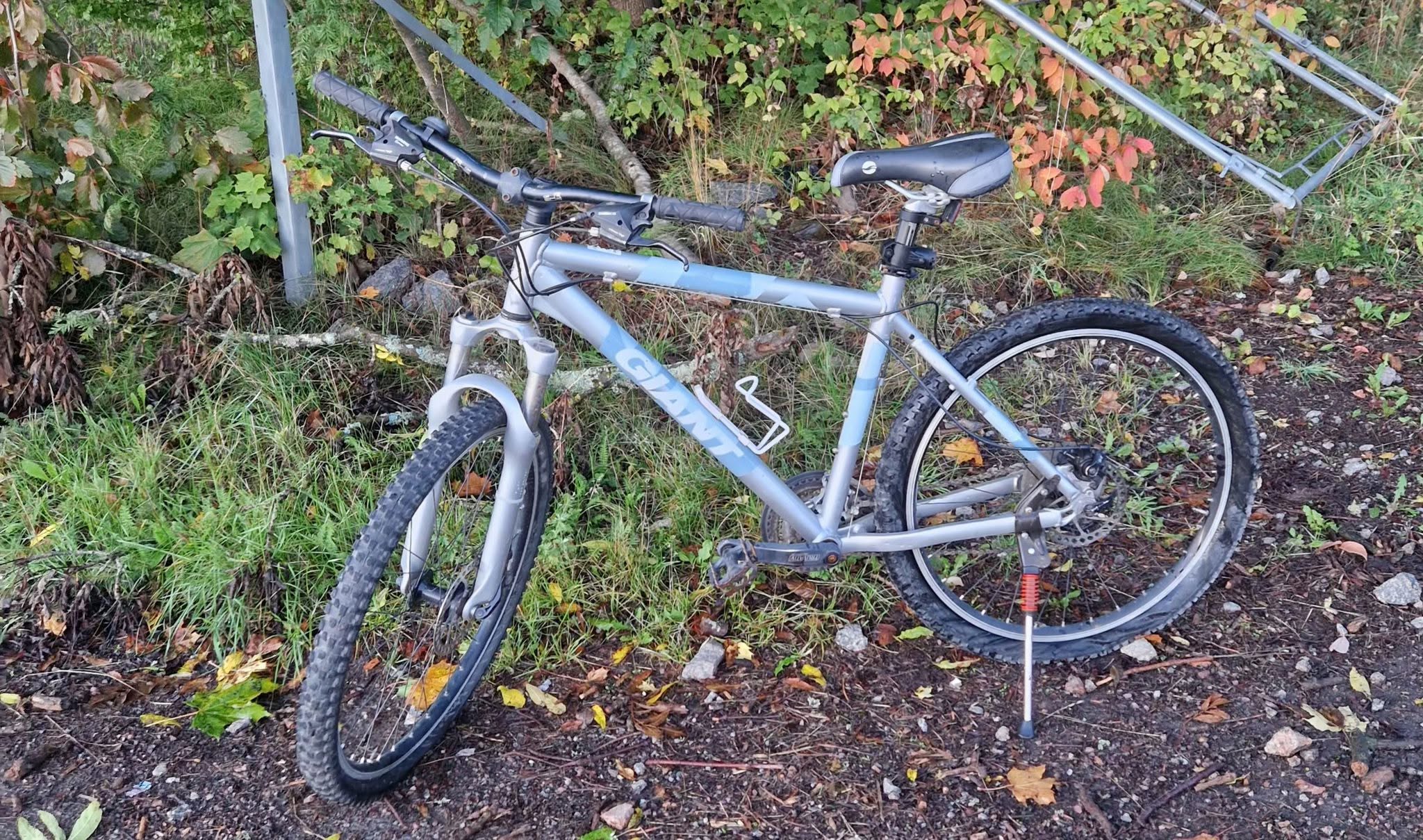 Found bike