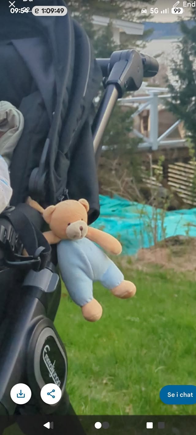 Lost Toy in TøNsberg