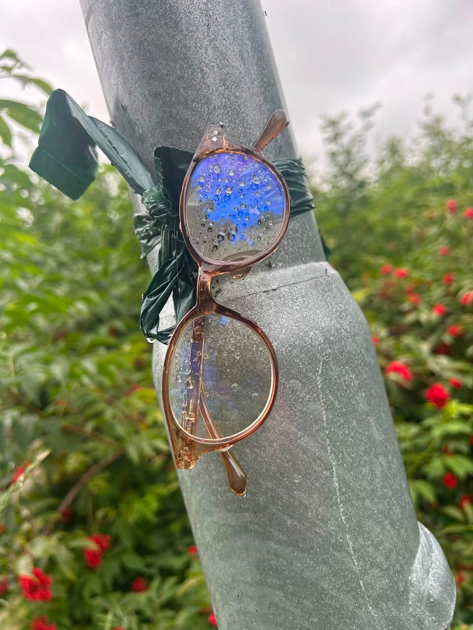 Found glasses