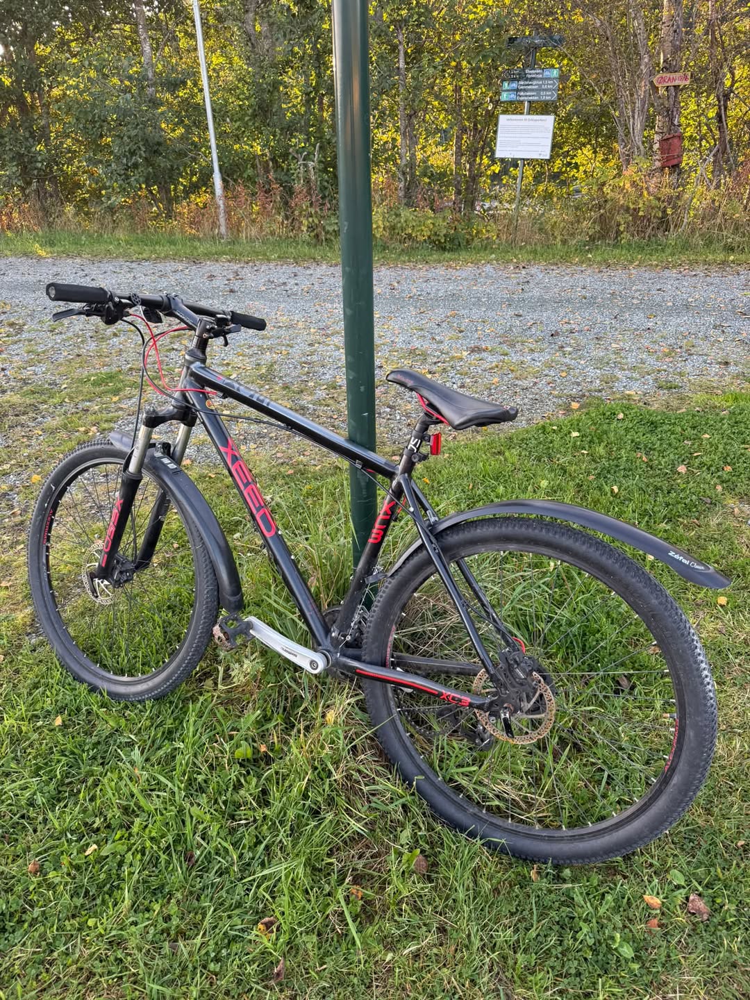 Found bike