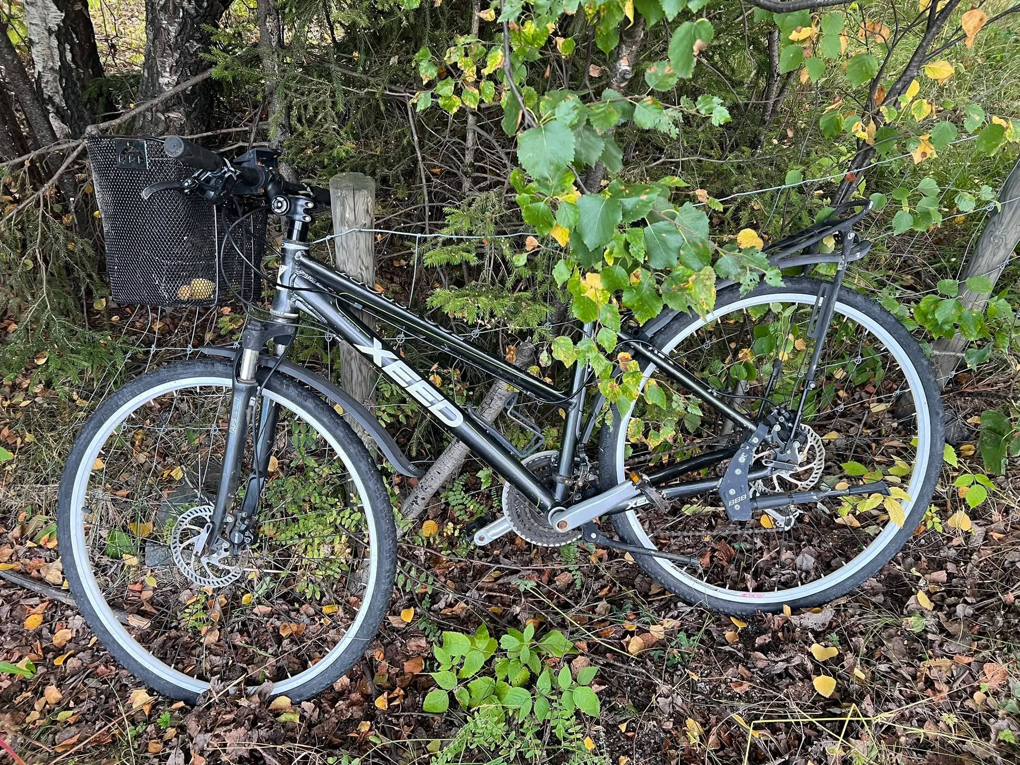 Found Bike in Valdres