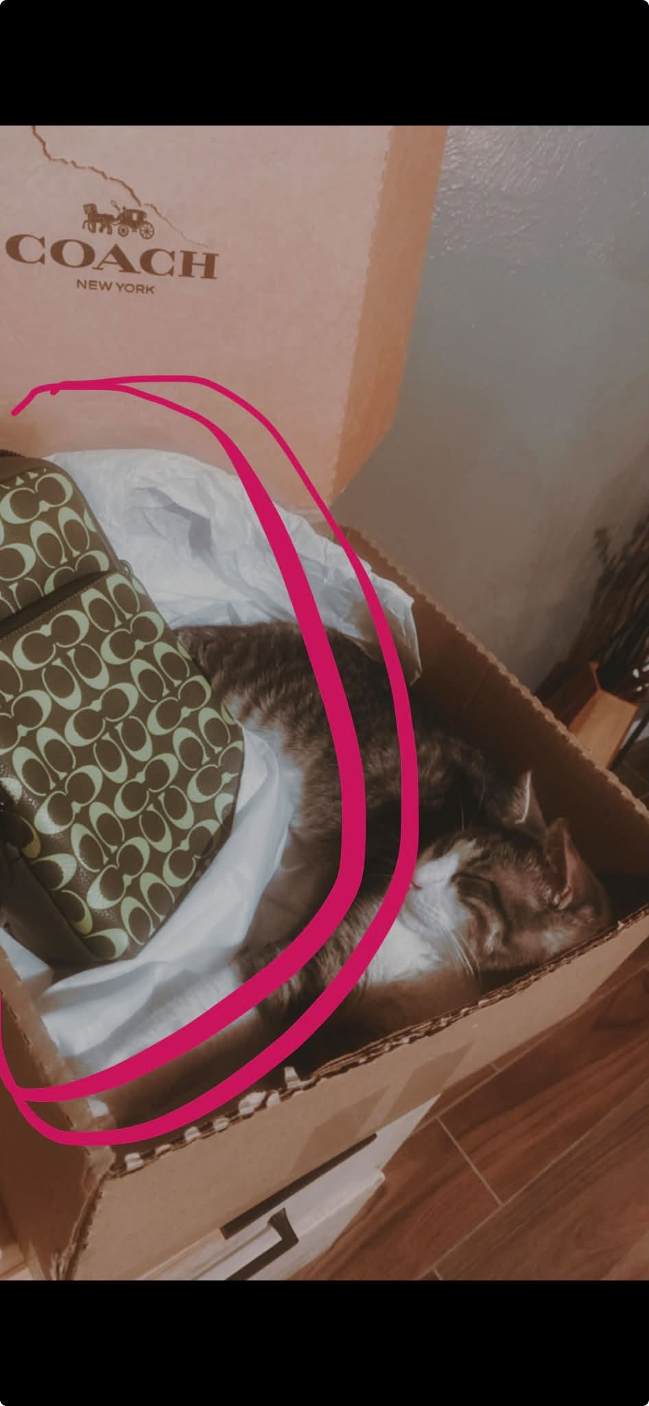 Lost Bag in Cheyenne