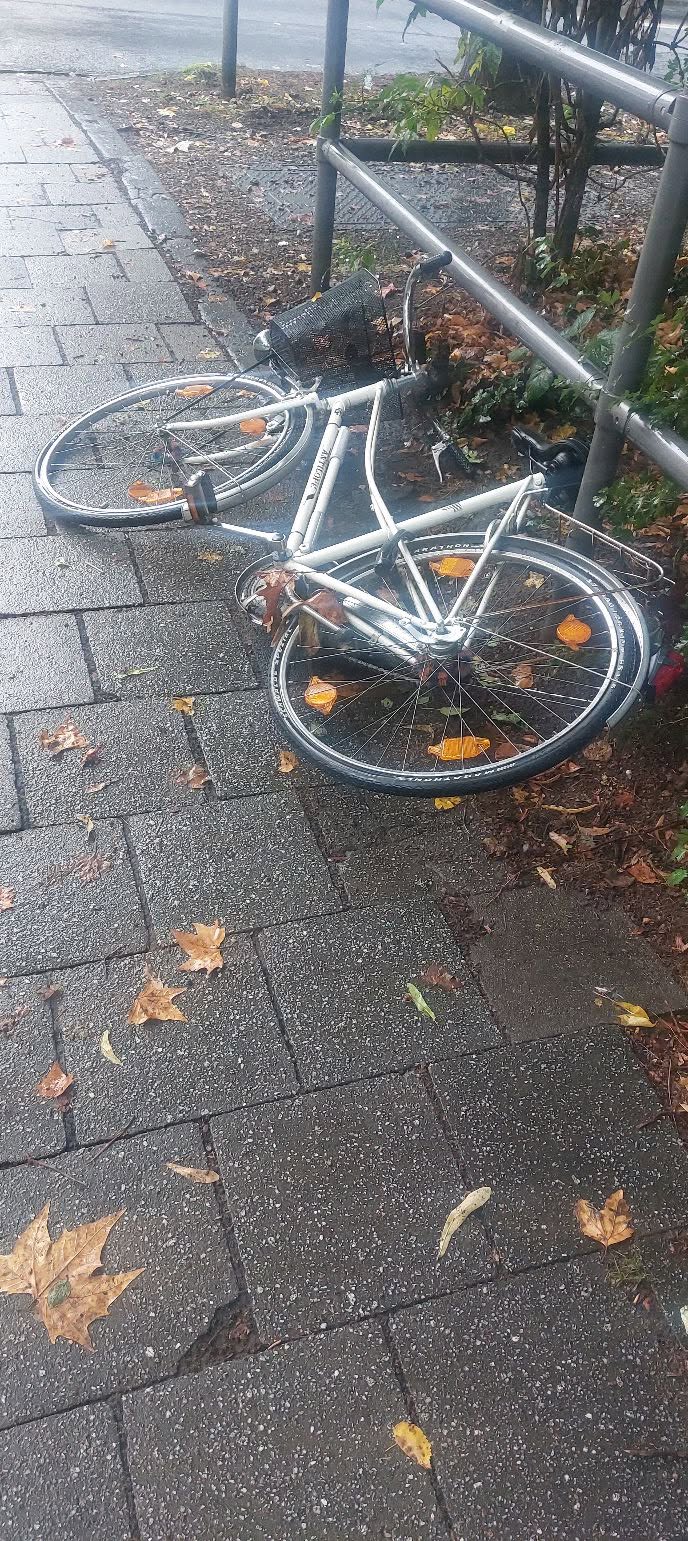 Found bike