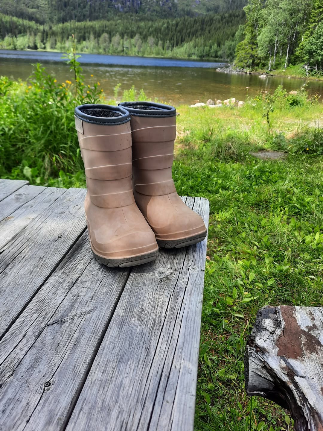 Found Shoes in MosjøEn
