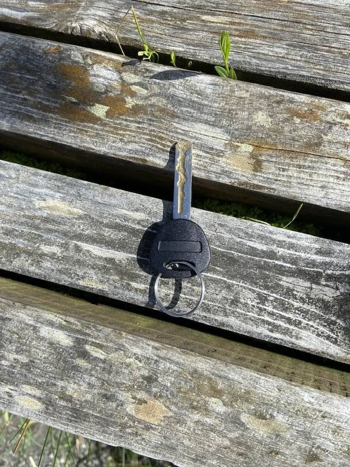 Found keys
