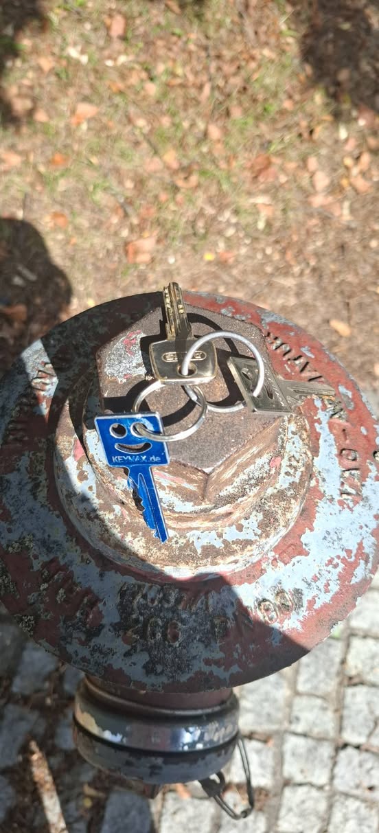 Found keys