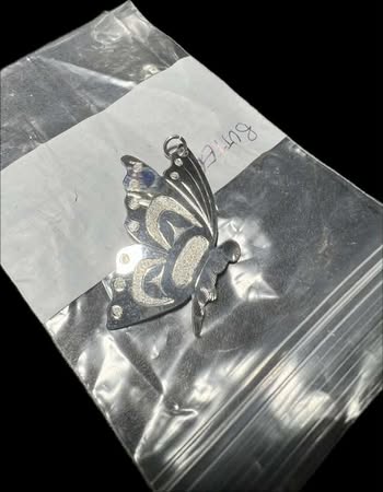 Lost Necklace in Stanley Park