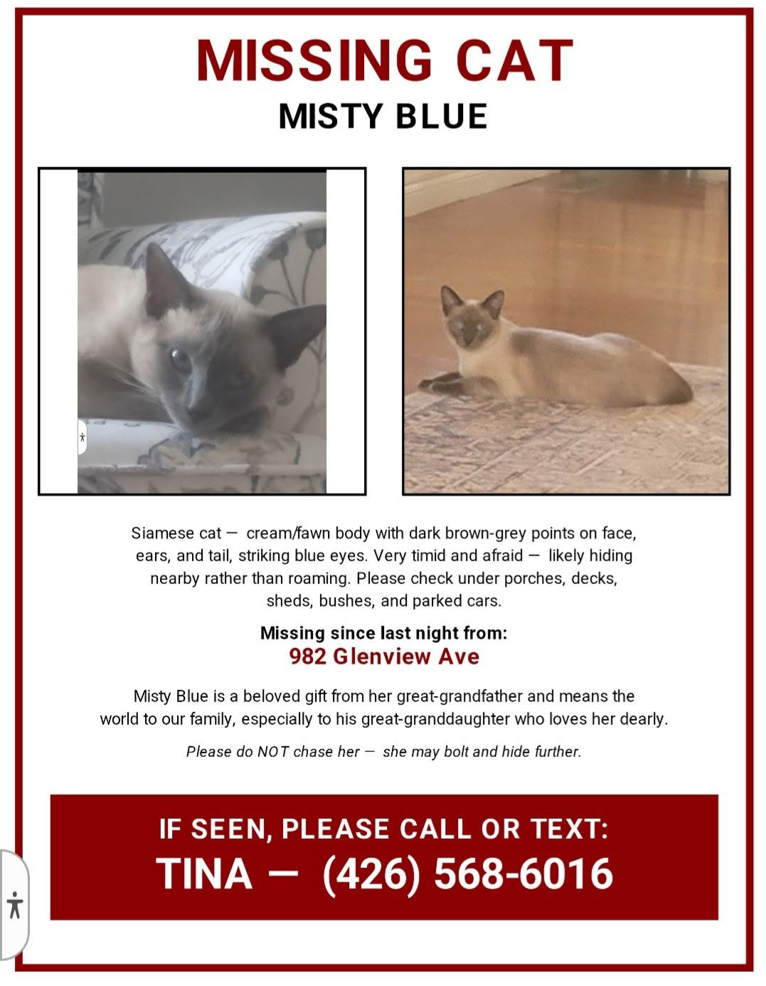 Lost Cat in Burlington