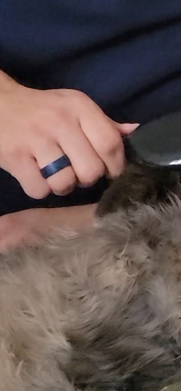 Lost ring