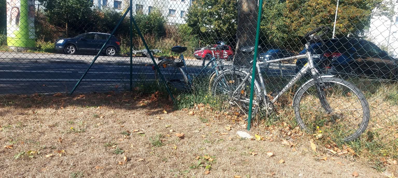 Found bike
