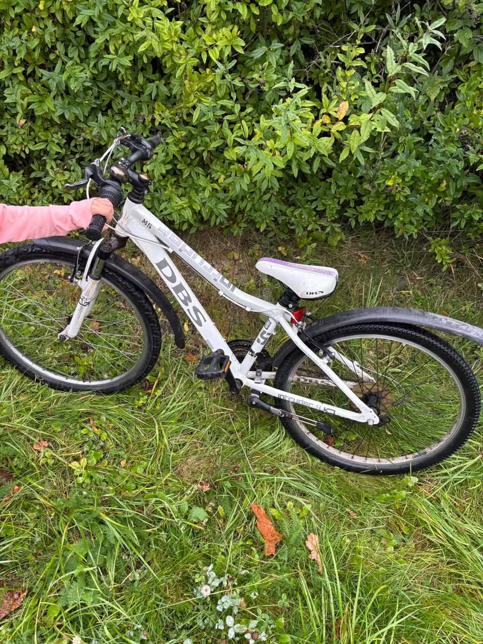Found bike