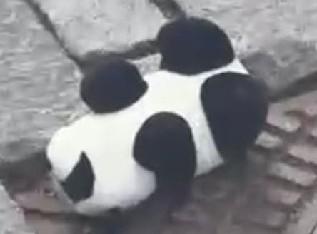 Lost Toy in TøNsberg