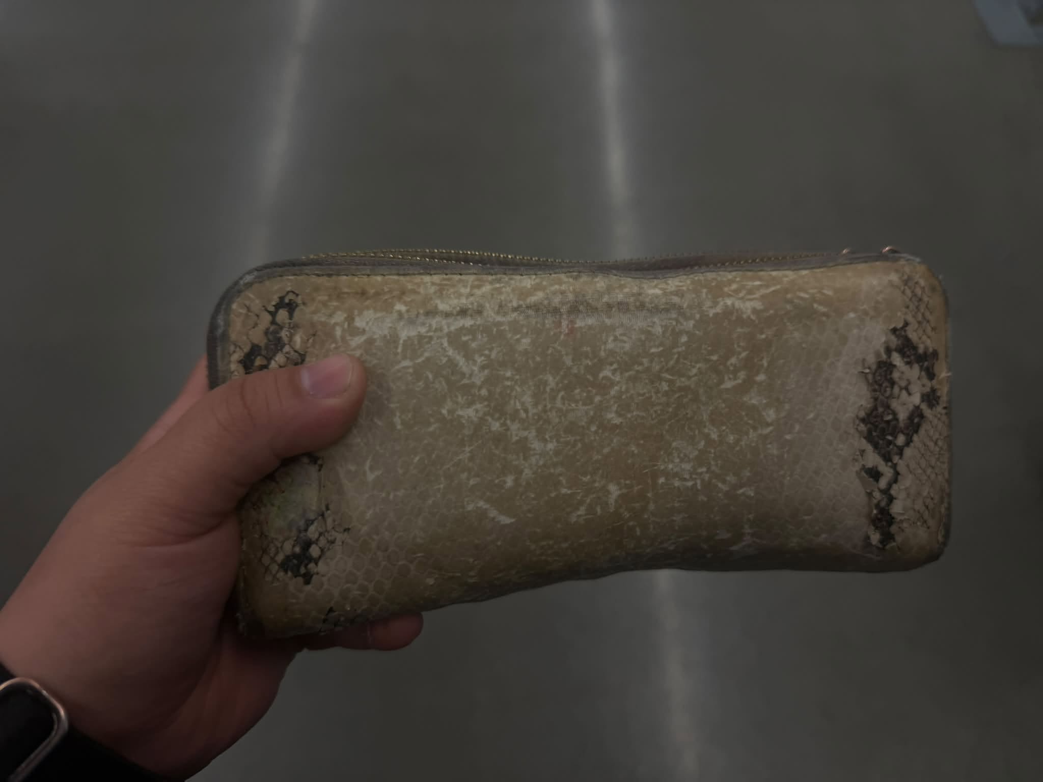 Found Wallet in Anchorage