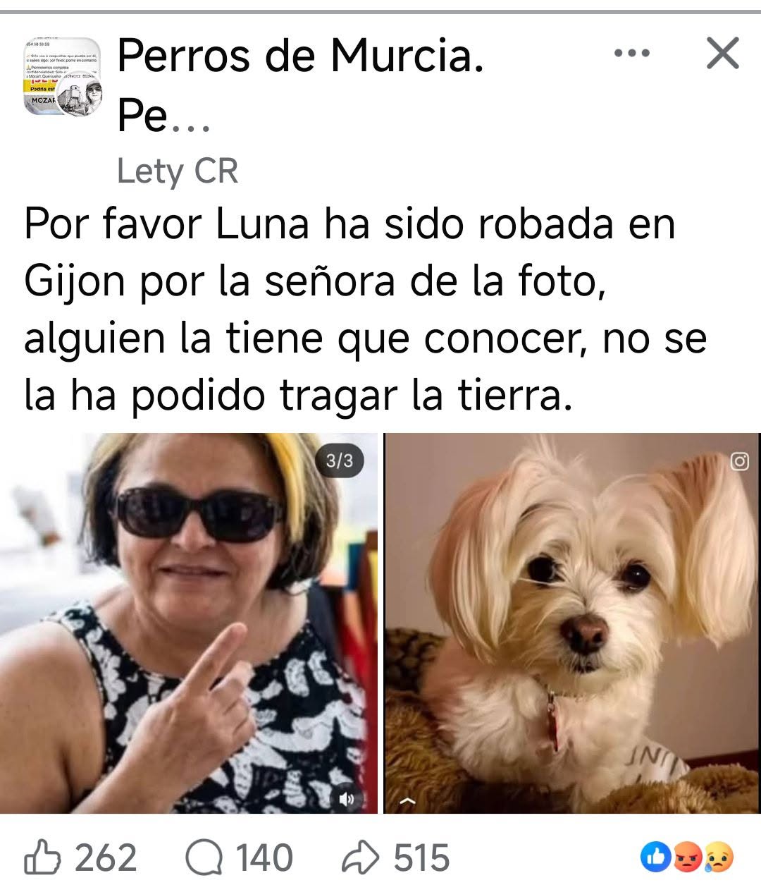 Lost dog