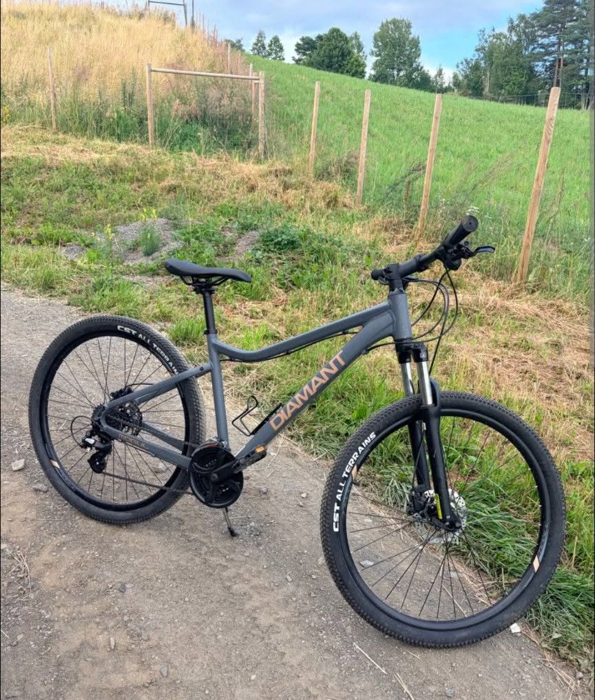 Found Bike in Levanger