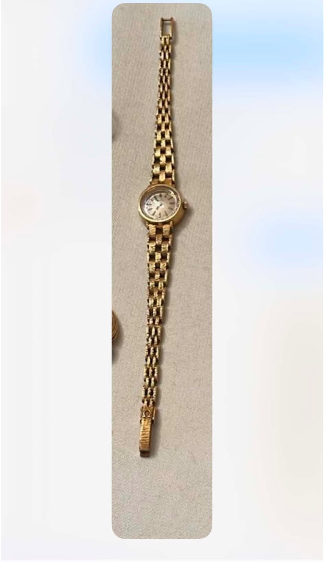 Lost watch