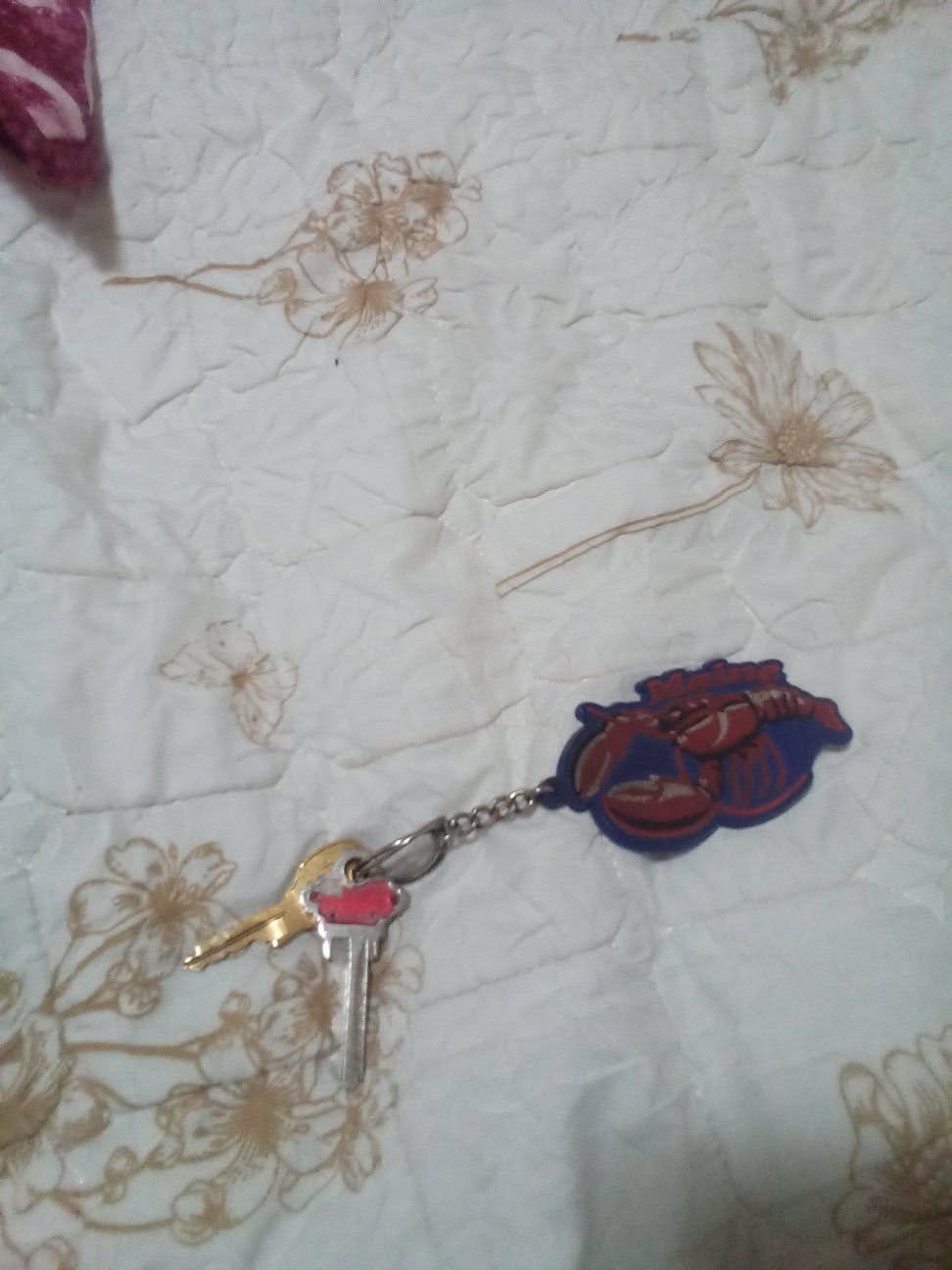 Found Keys in Anchorage