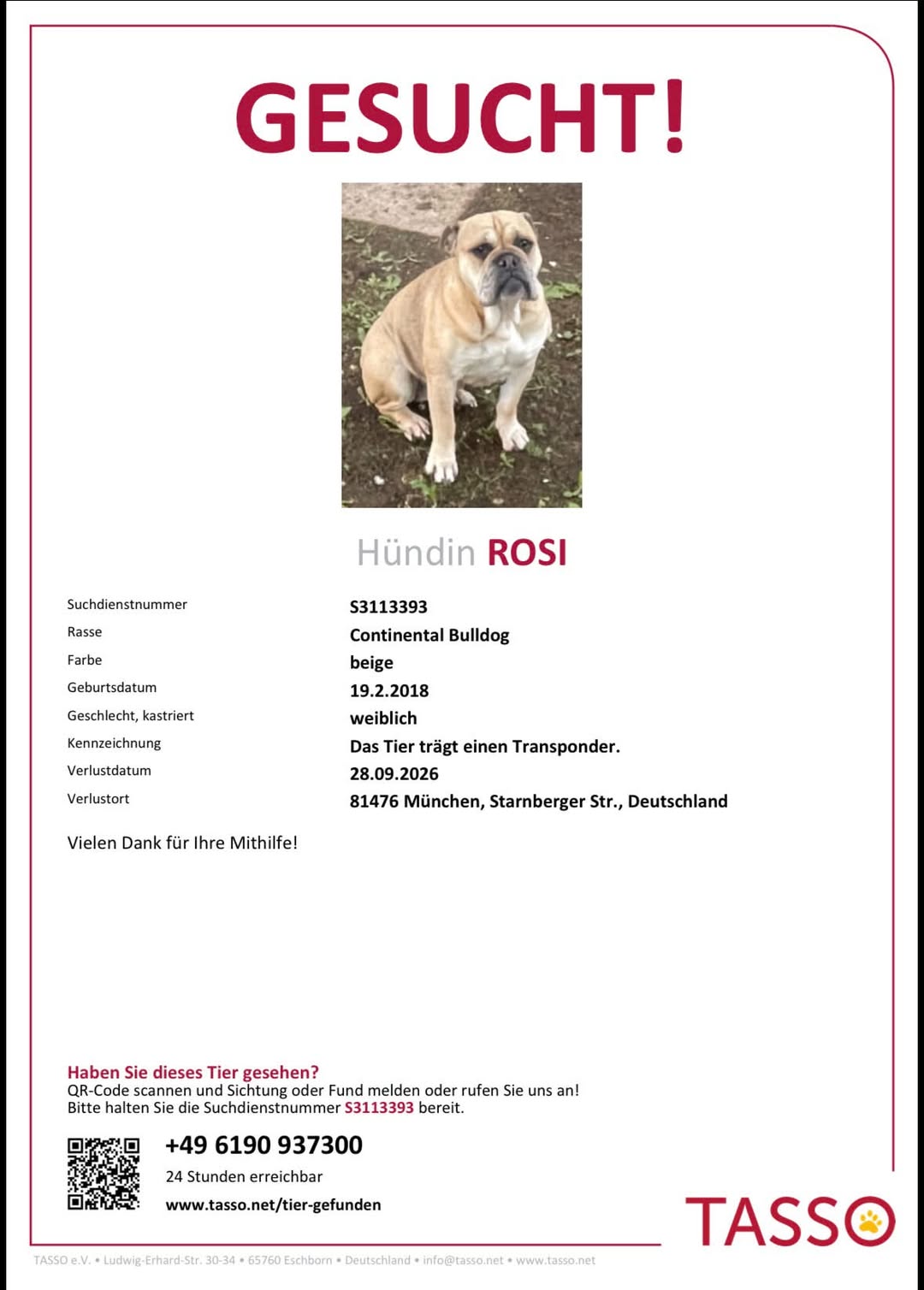 Lost dog