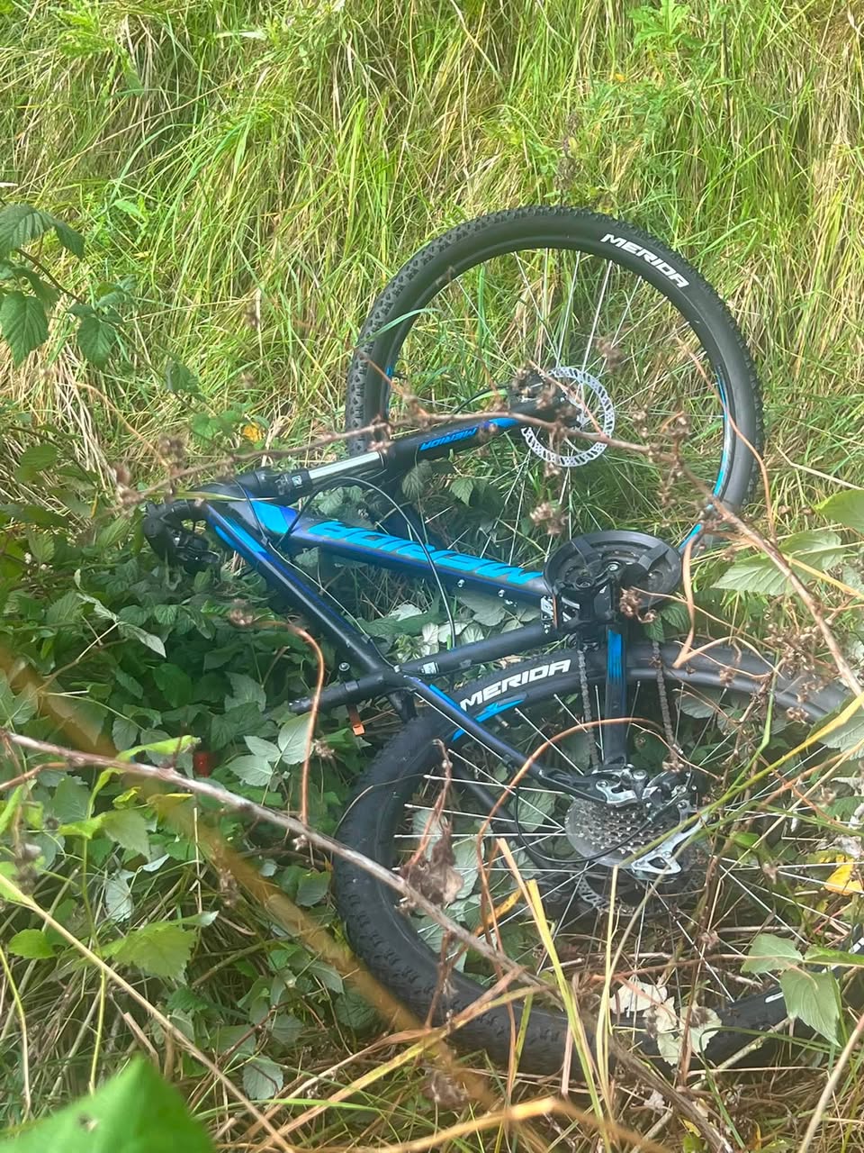 Found Bike in Halden