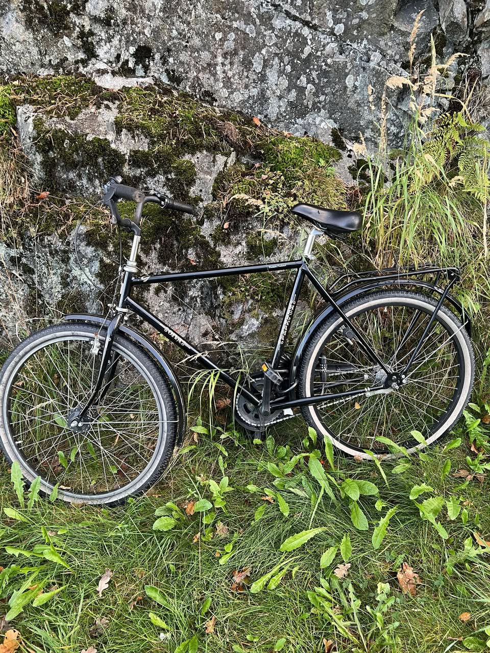Found bike