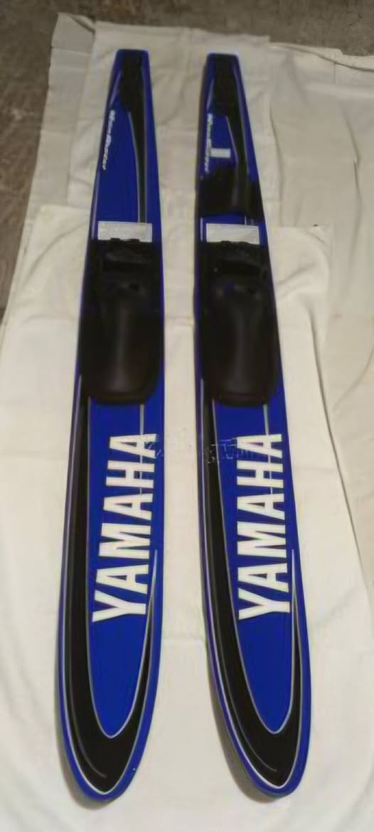 Found Water Skis in L'ÎLe-Dorval