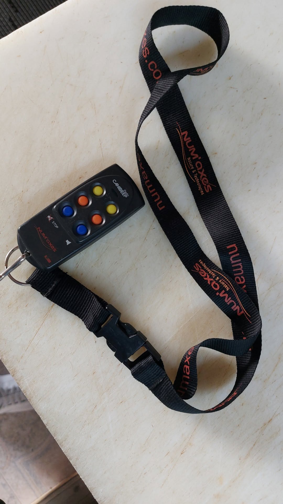 Found remote control