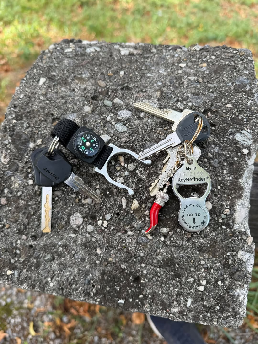 Found keys