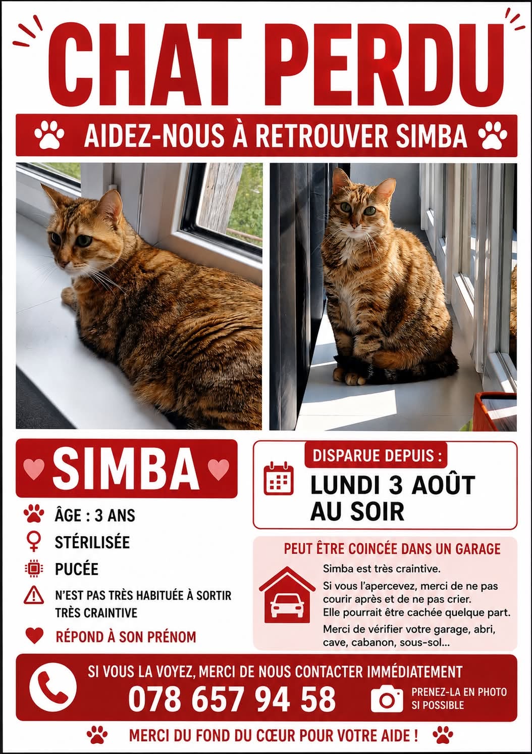 Lost Cat in Switzerland