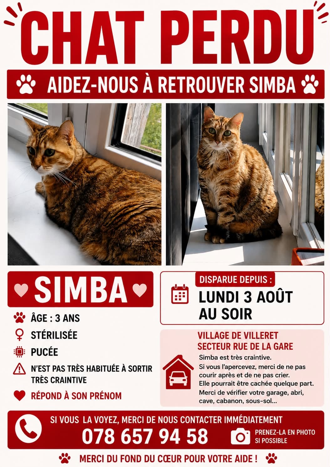 Lost Cat in Villeret