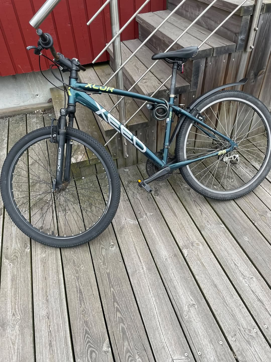 Found bike
