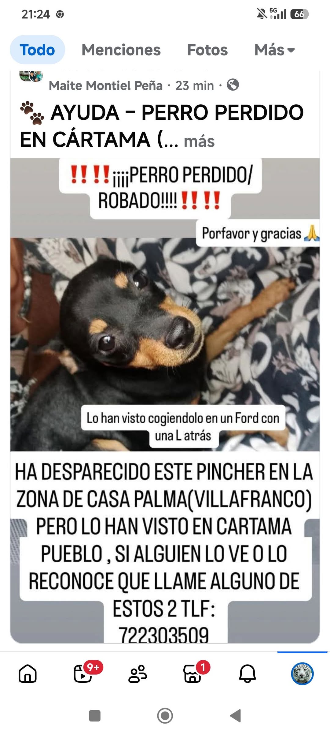 Lost Dog in CáRtama