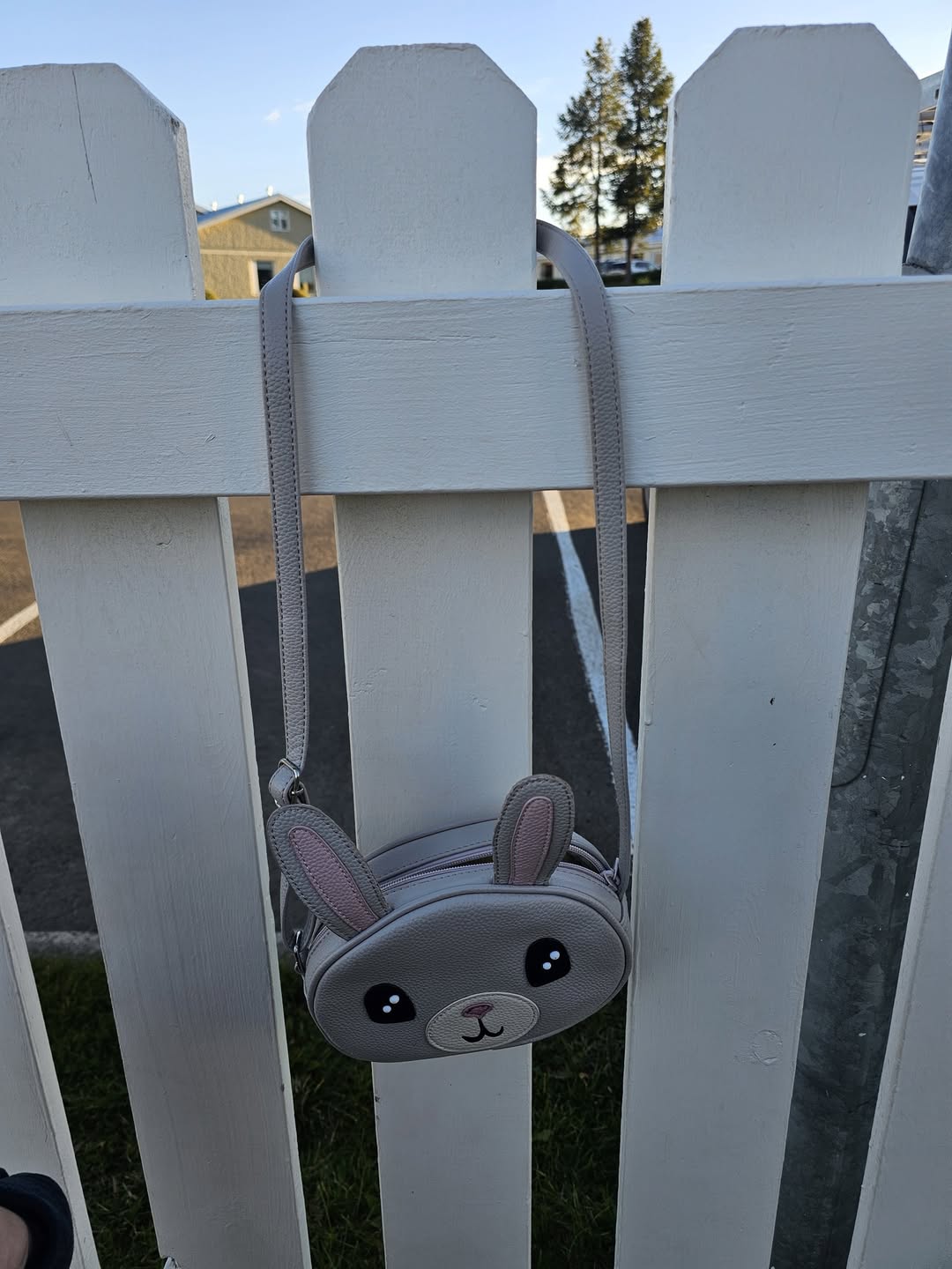 Found bag