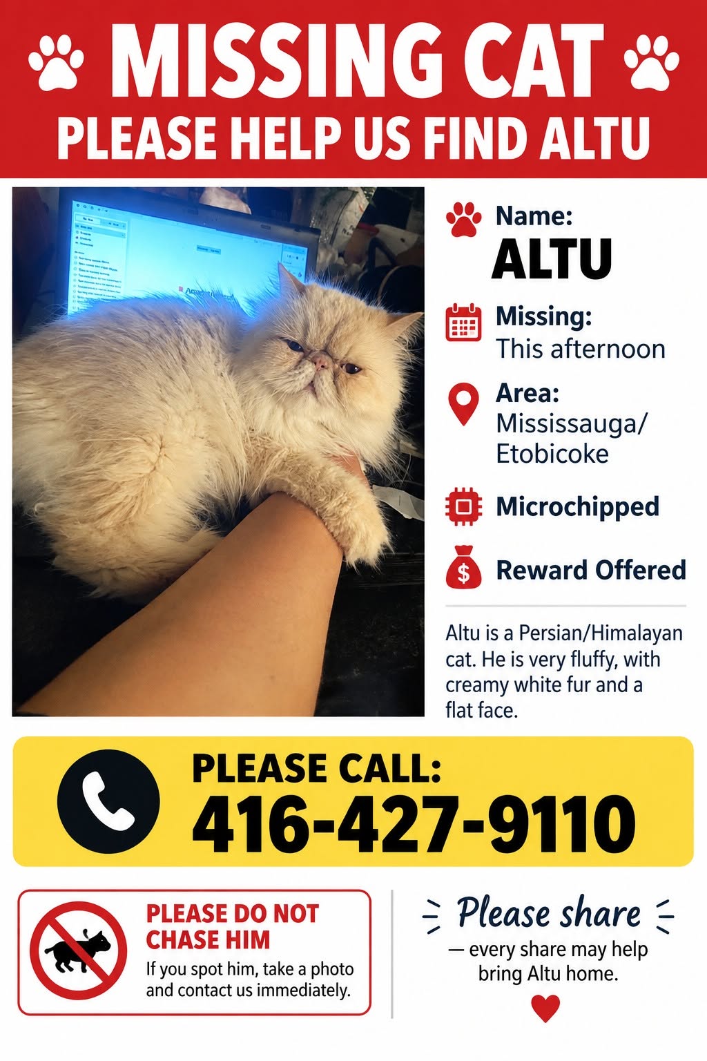Lost Cat in Mississauga / Etobicoke