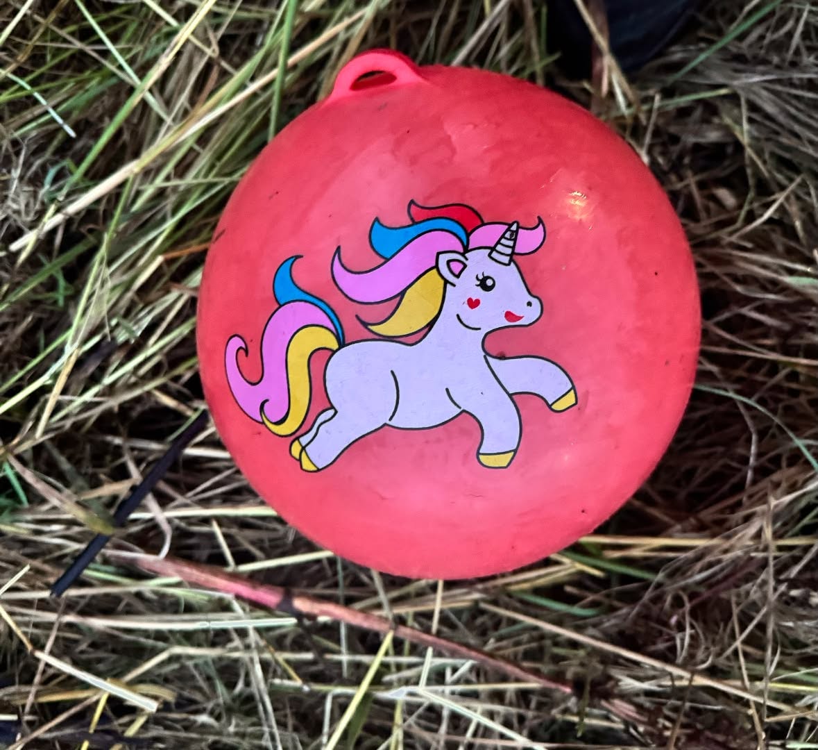 Found toy