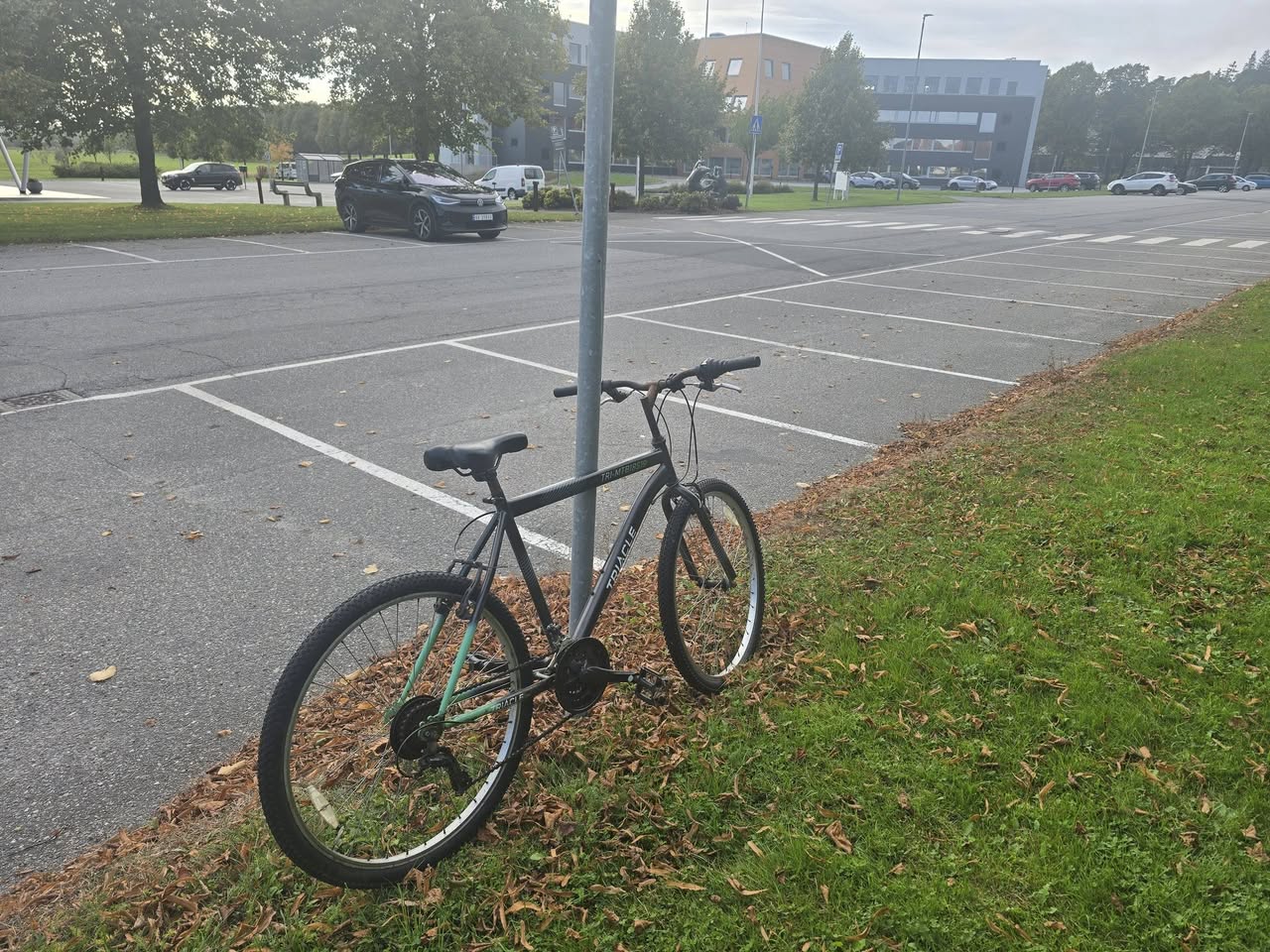 Found bike