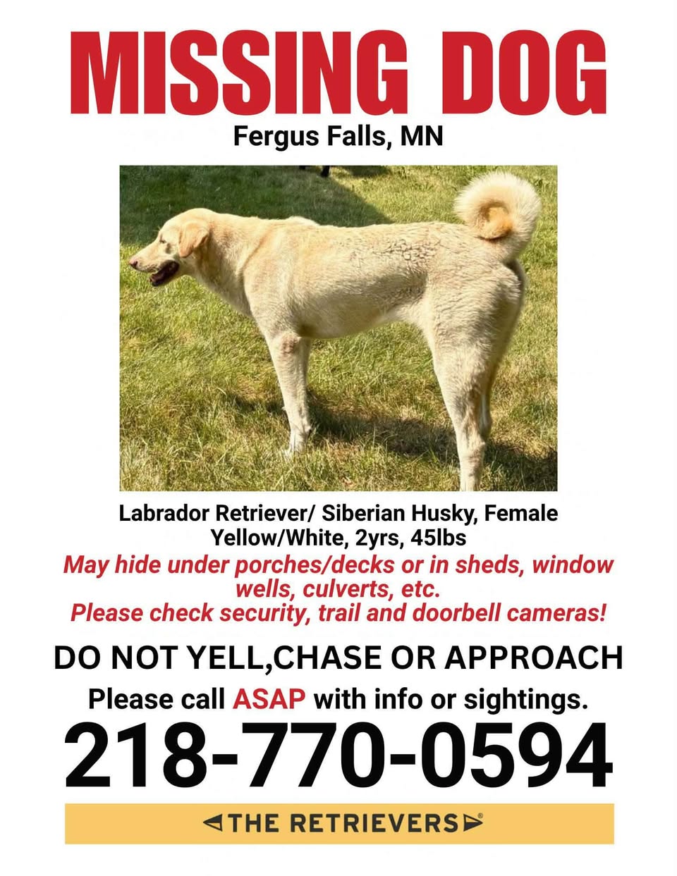 Lost Dog in Fergus Falls