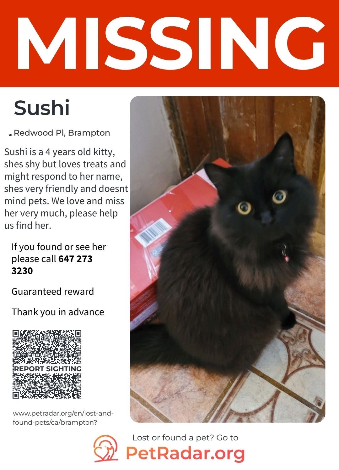 Lost Cat in Redwood Pl