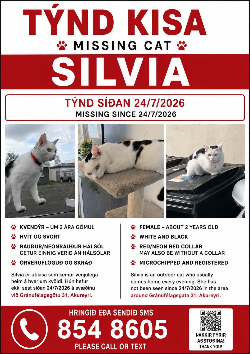 Lost Cat in Akureyri