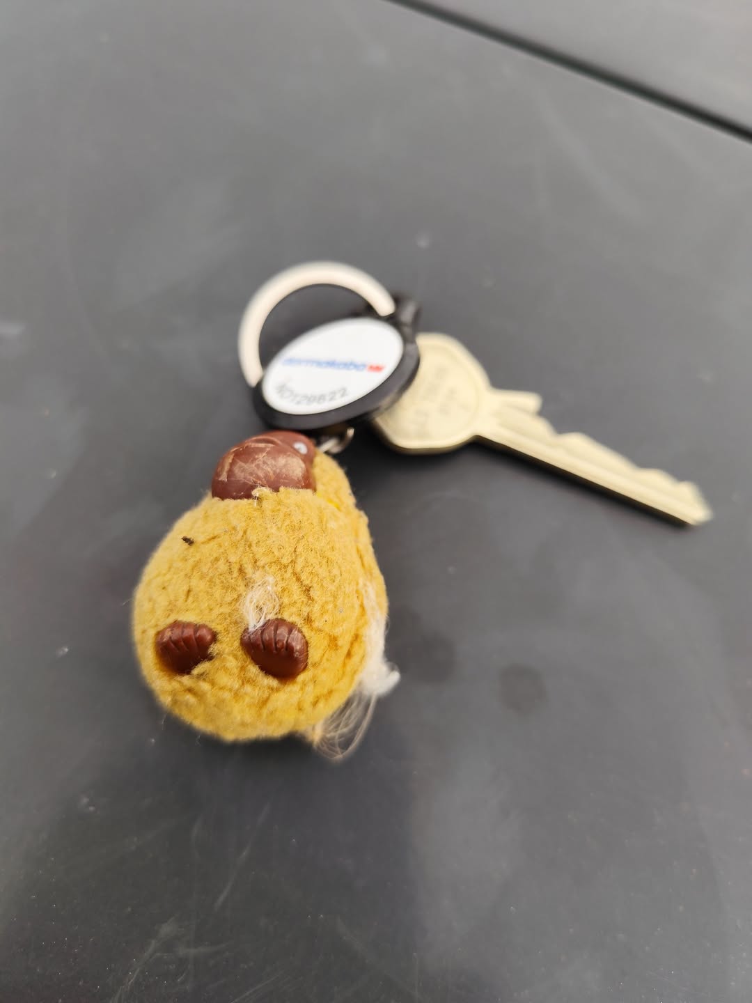 Found keys