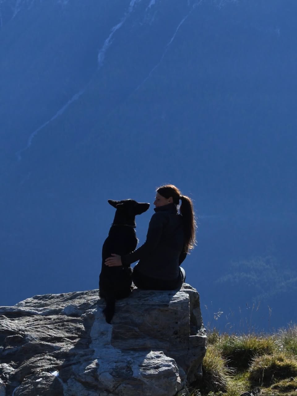 Lost Dog in Switzerland