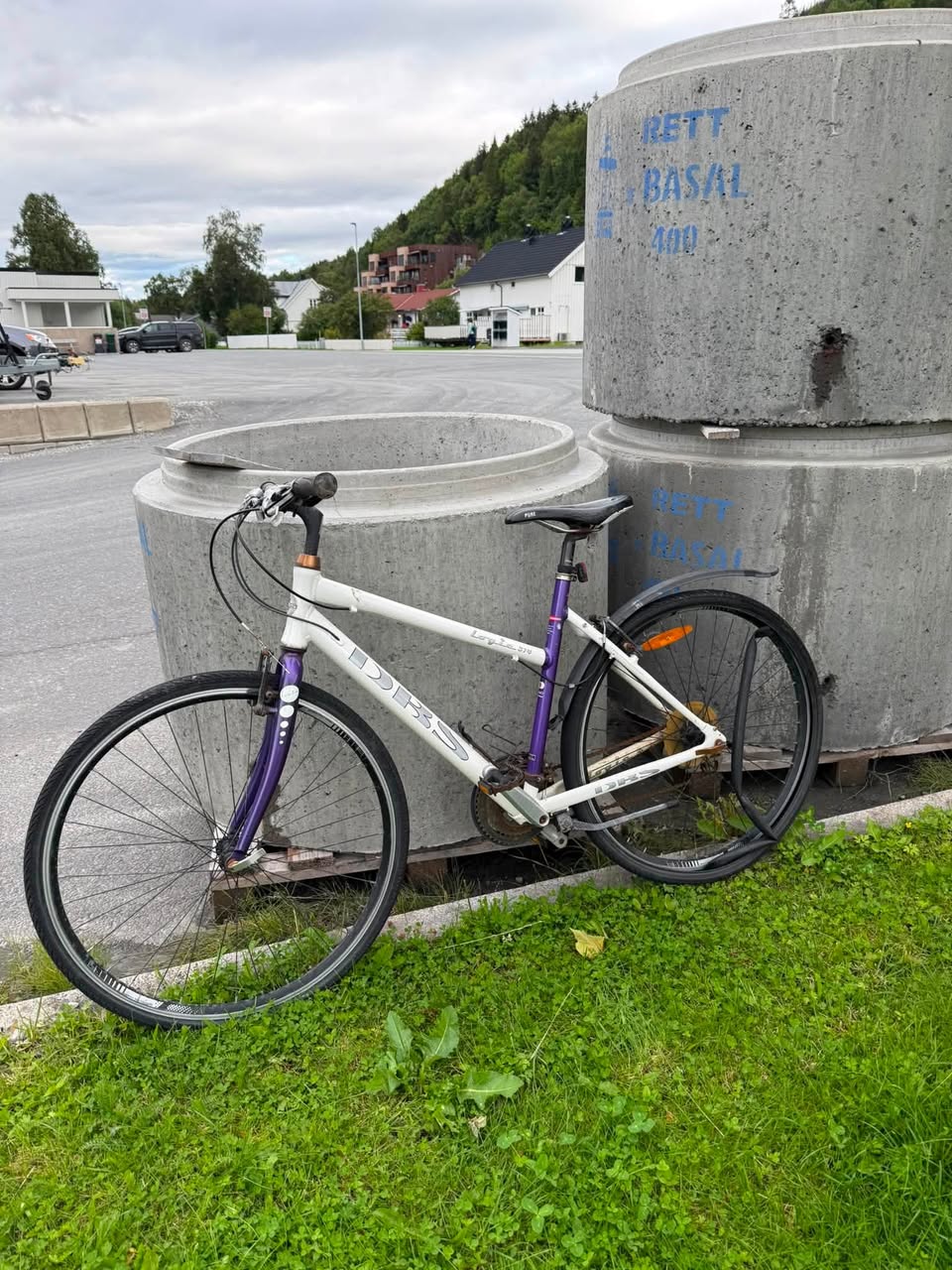 Found bike