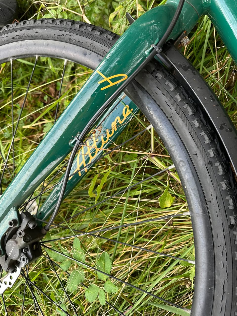 Found bike