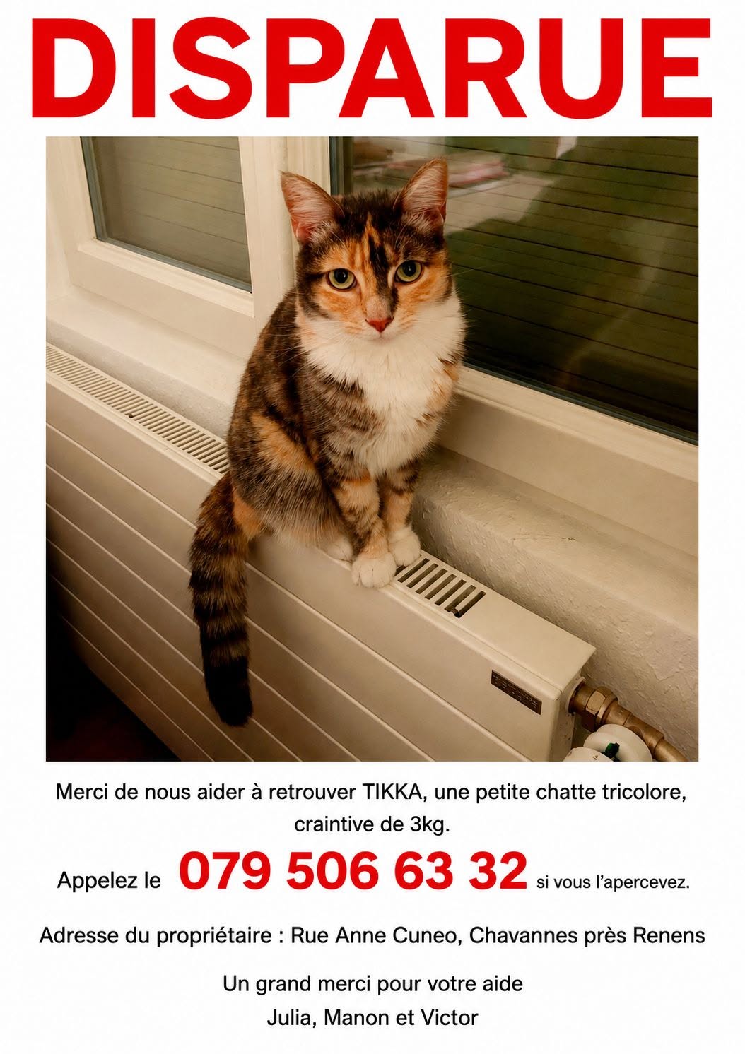 Lost Cat in Chavannes-PrèS-Renens